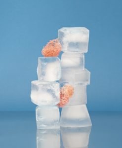 Reusable Ice Cubes: Are They Worth It? - GreenCitizen