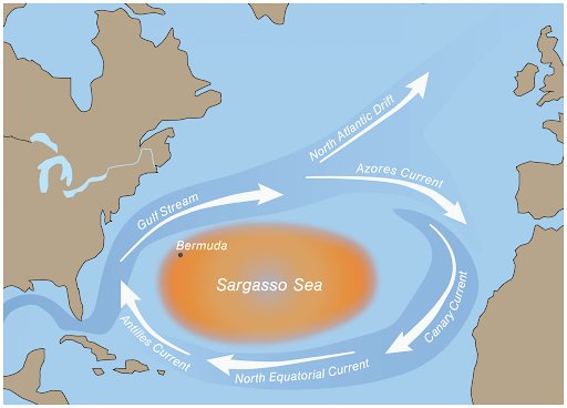 Map of Sargasso Sea with ocean currents.