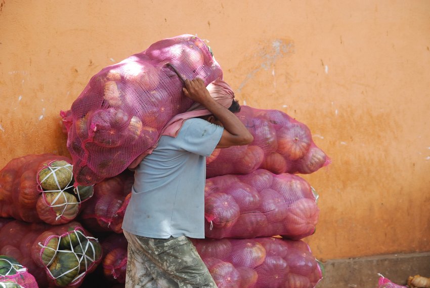 A worker lugs bags of pumpkins.