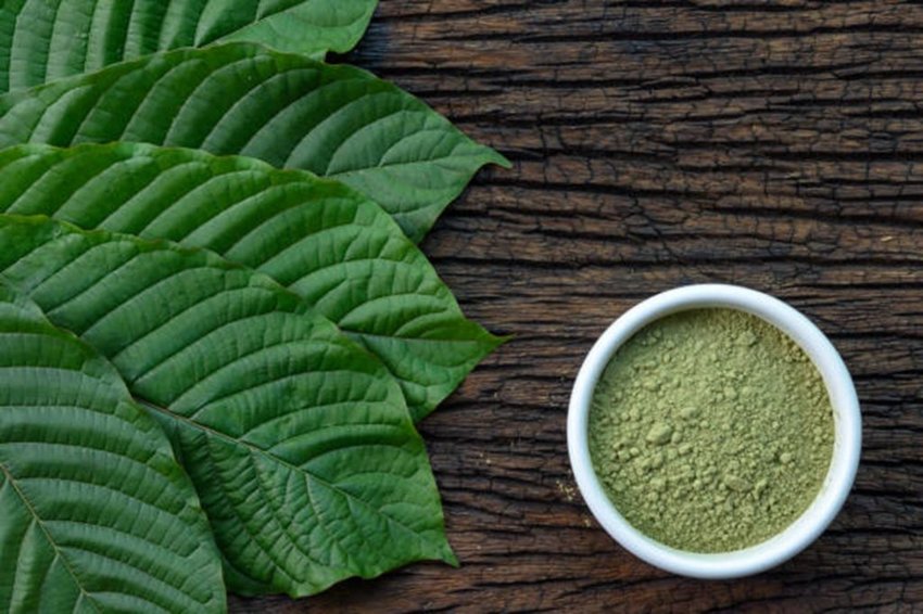 Kratom Extract vs. Powder: What's the Difference? | The Apopka Voice