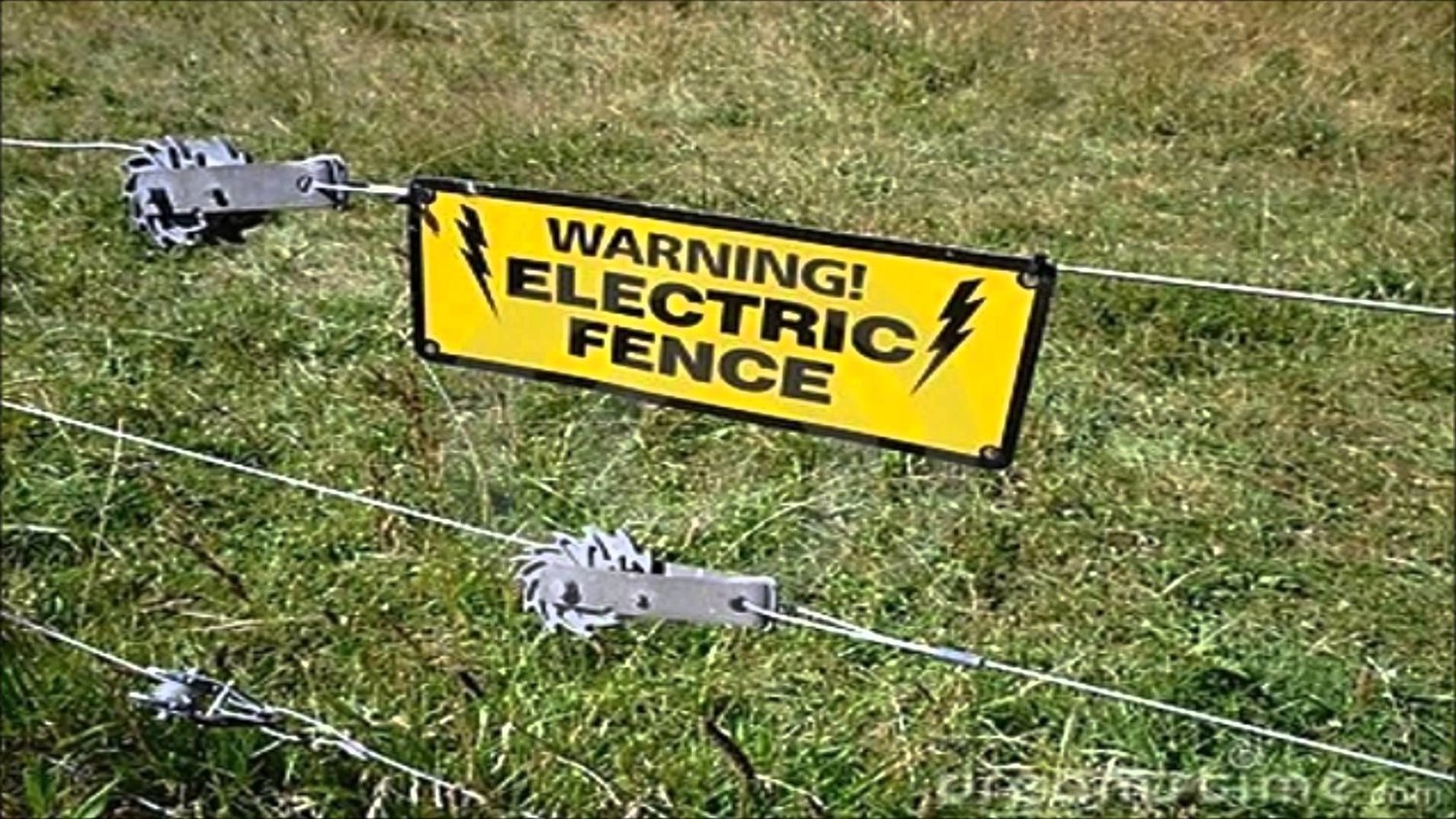 Electric fences sure are fun! The Apopka Voice