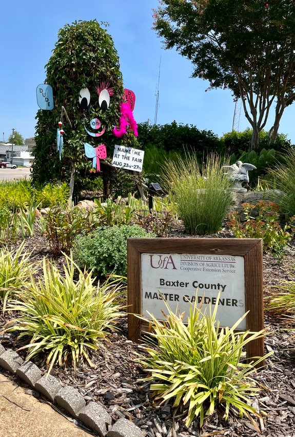 Members of the Baxter County Master Gardeners are holding a contest during the upcoming 2022 Baxter County Fair. They are accepting entries to name &ldquo;the face&rdquo; in the Extension Office Garden located at the corner of 62B and 5 South. The winner will be announced no later than Friday, Sept. 2 and will have five prizes to choose from, all with an estimated value of $100.   Helen Mansfield/The Baxter Bulletin