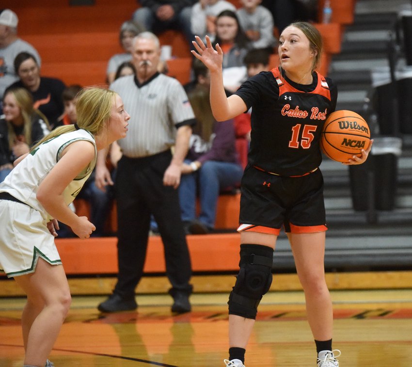 Calico Rock Lady Pirates upset Lady Eagles at district tourney Baxter