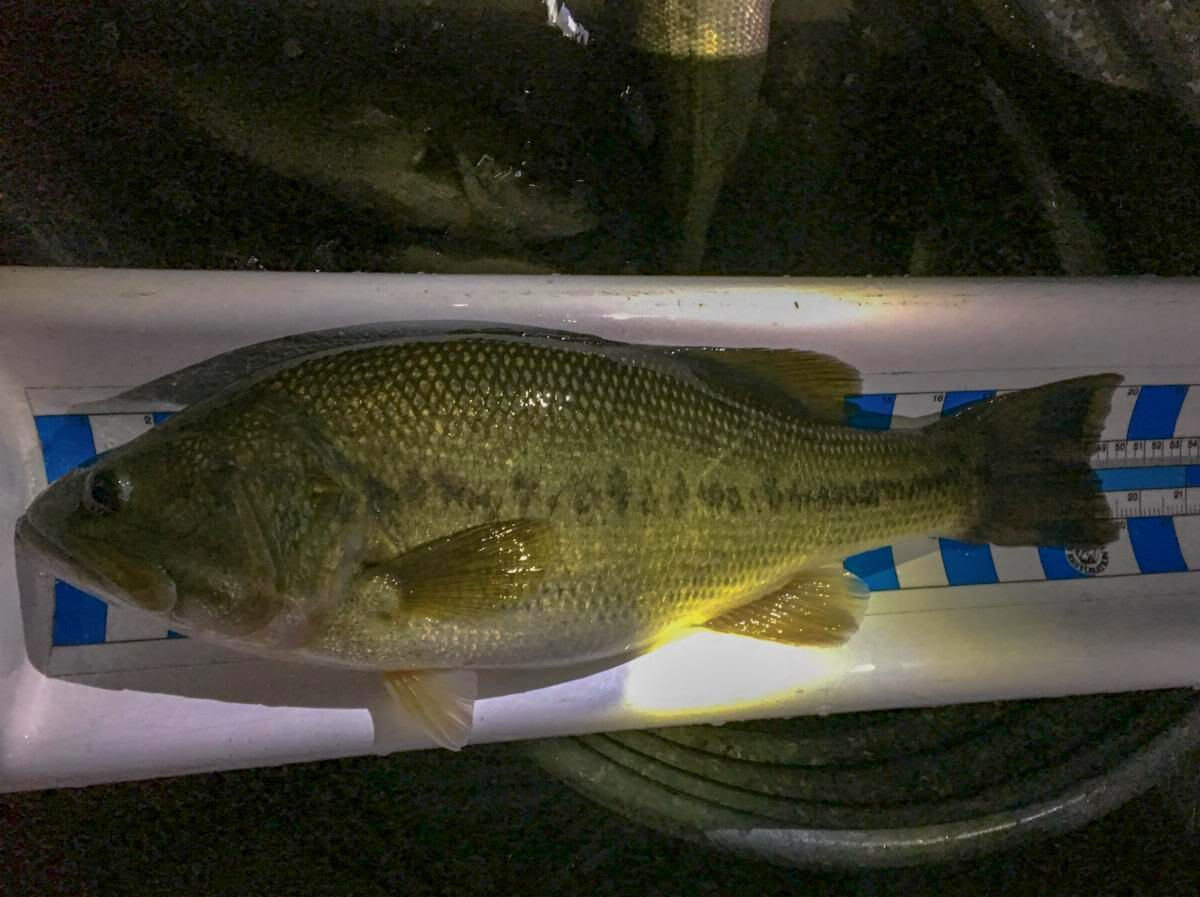 AGFC announce 2023 regulation changes Baxter Bulletin