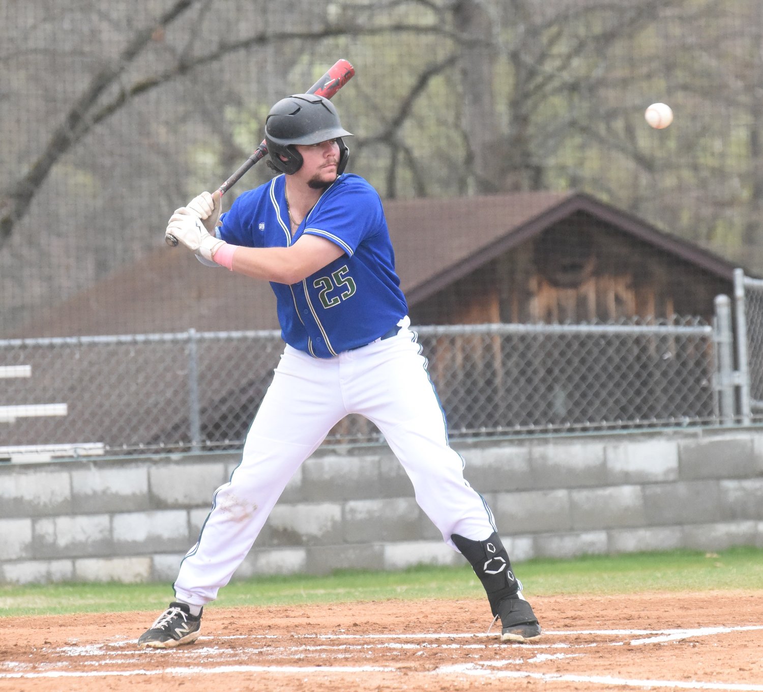 ASUMH baseball splits at Hendrix | Baxter Bulletin