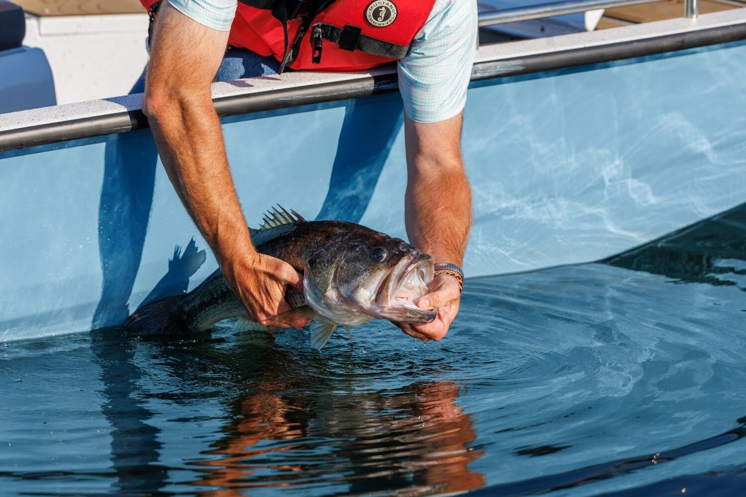 AGFC celebrates homecoming for Legacy Lunker largemouth bass | Baxter ...