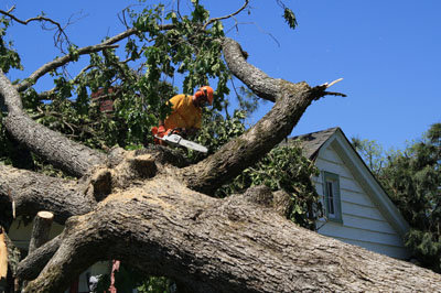 Carl Lunsford of Georgia Baptist Disaster Relief cuts a tree away from a home near Hampton after an April 2011 tornado. SCOTT BARKLEY/Index