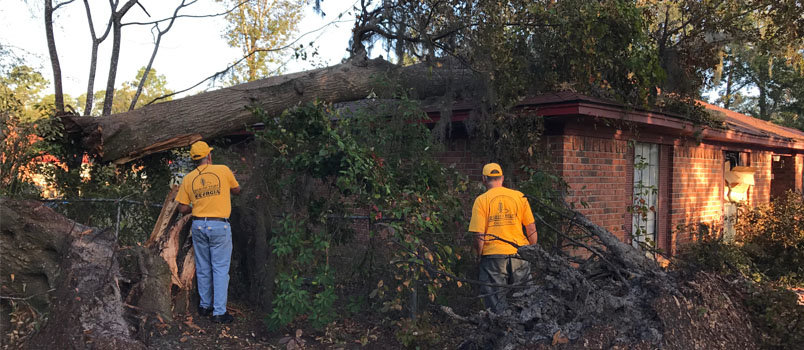 Members of a Disaster Relief Unit 8R from Dalton prepare to remove a tree from a house in Savannah on Tuesday. An "all call" for certified workers and non-certified who can be supervised has gone out for a 48-hr cleanup this weekend to work off a large backlog of requests. JOE WESTBURY/Index