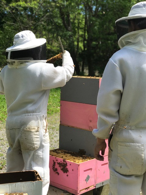 Liying Peng makes adjustments to her apiary, assisted by her husband, Tao Liu, at Pic-Wil Nature Preserve.