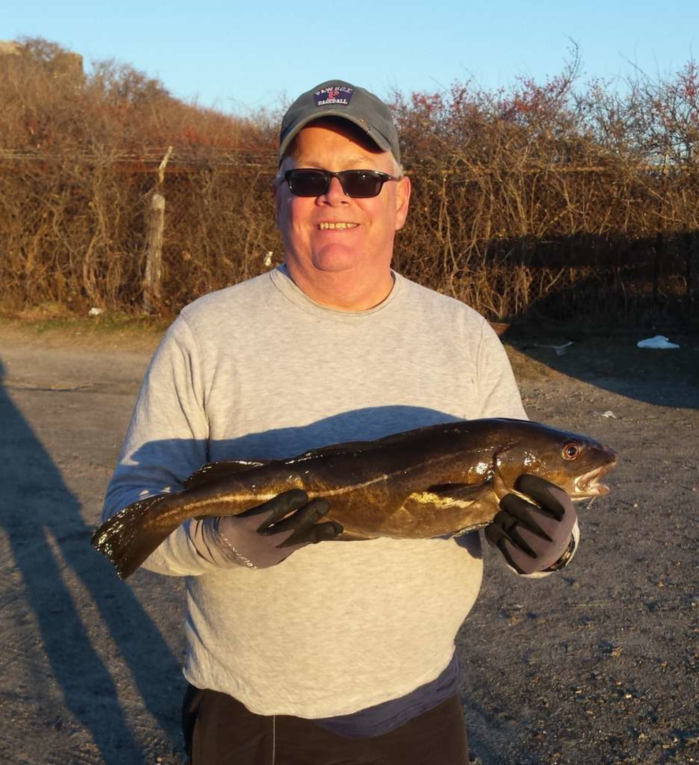 Seven fishes on Christmas Eve? How about thirteen? | EastBayRI.com