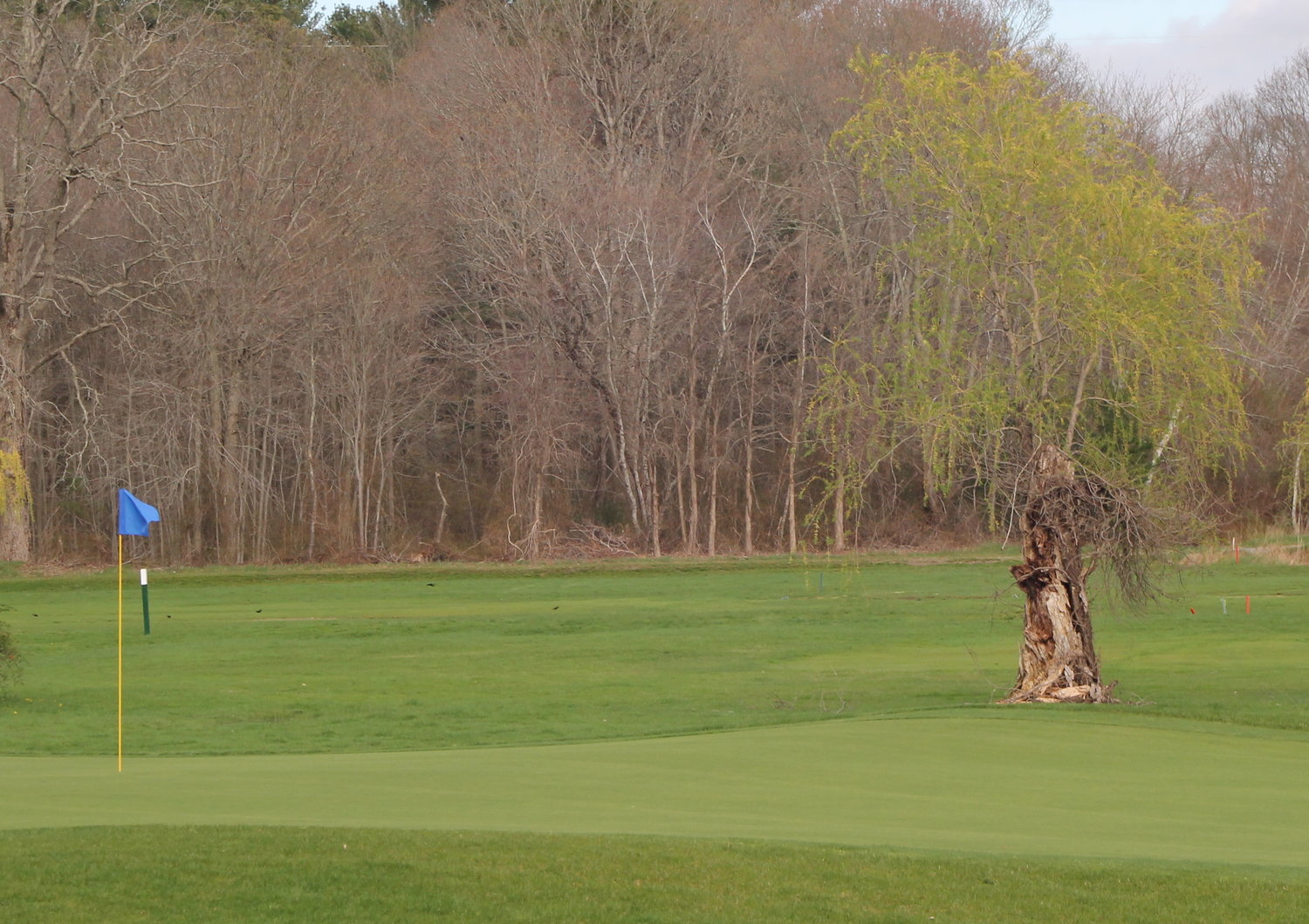 Hazelton Golf Club is approaching its time to shine once again