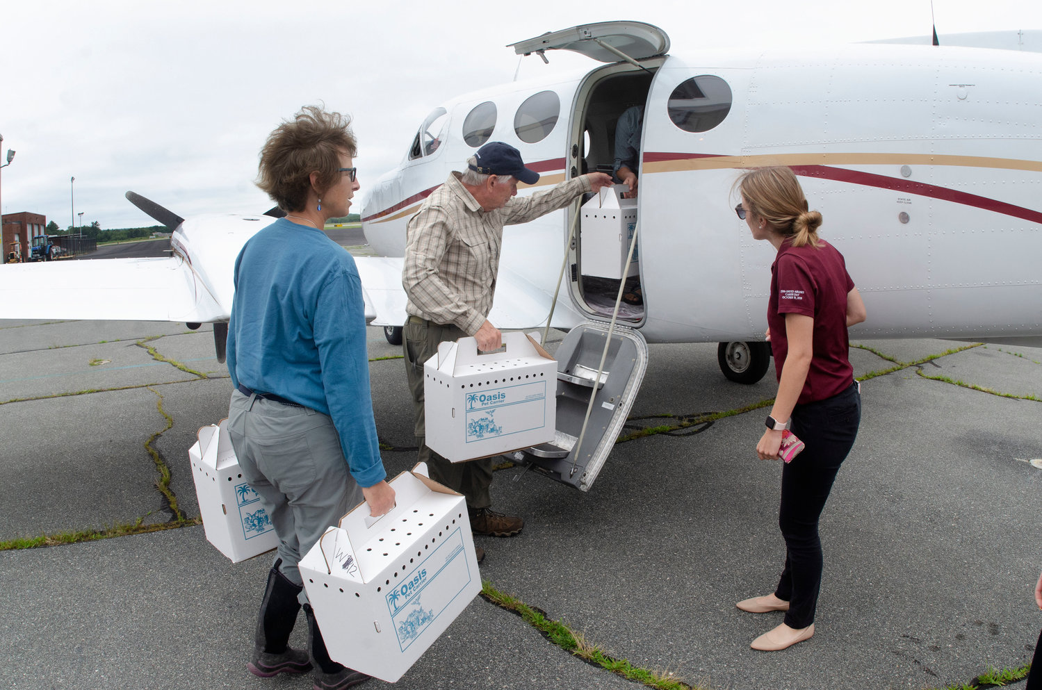 Gina Purtell and harold Isaksen help to load the osprey boxes into the small plane at the New Bedford Regional Airport.
