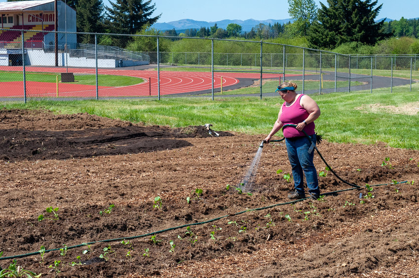 Volunteer Summer Keene waters a row of crops on Thursday afternoon in the Winlock Community Garden.