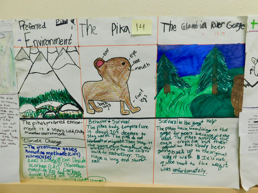 Union Ridge fourth-grade students recently took part in a project about pikas.
