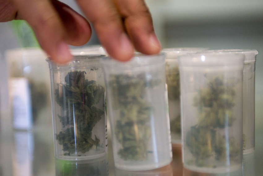 FILE PHOTO &mdash; A worker sorts out canisters of various strains of marijuana at The Herbal Center in Tenino in April 2015.