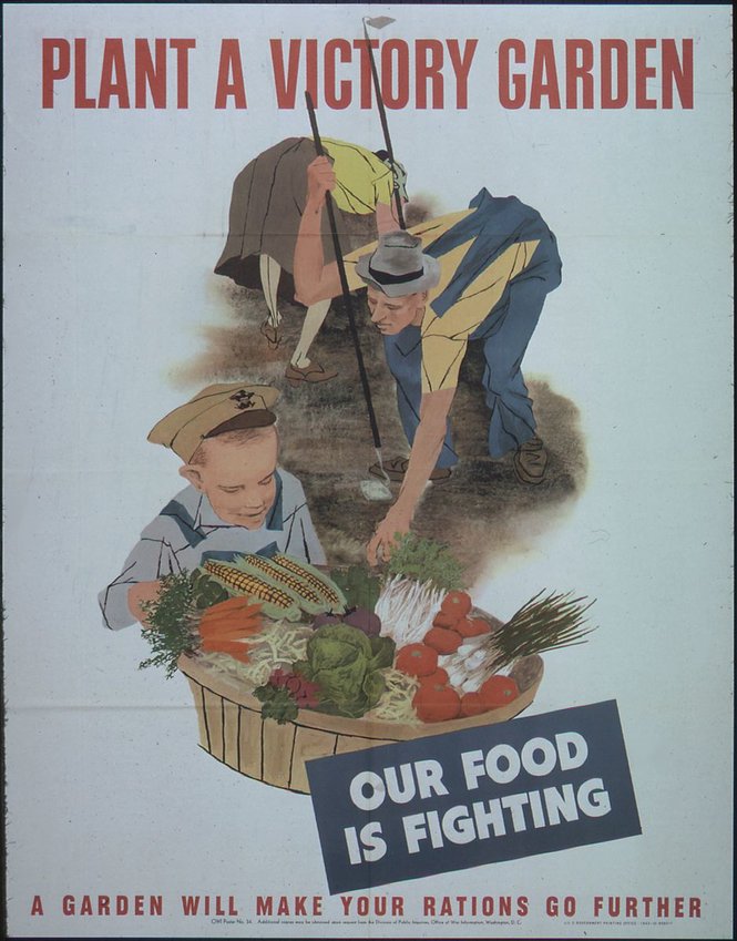 Victory gardens were created during World War II as a way to foster patriotism, as well as a way to lessen the usage of supplies that could go toward war efforts instead.